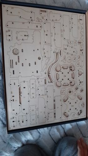 Customer photo review of Robotime 3D Wooden Marble Run Kit