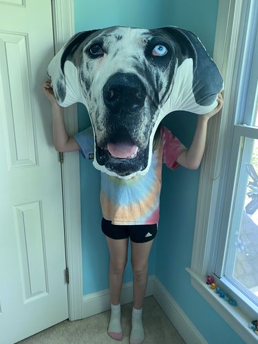 Customer photo review of Custom Dog Pillow