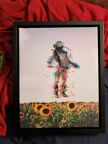 Customer photo review of The Plane Traveler Canvas Set