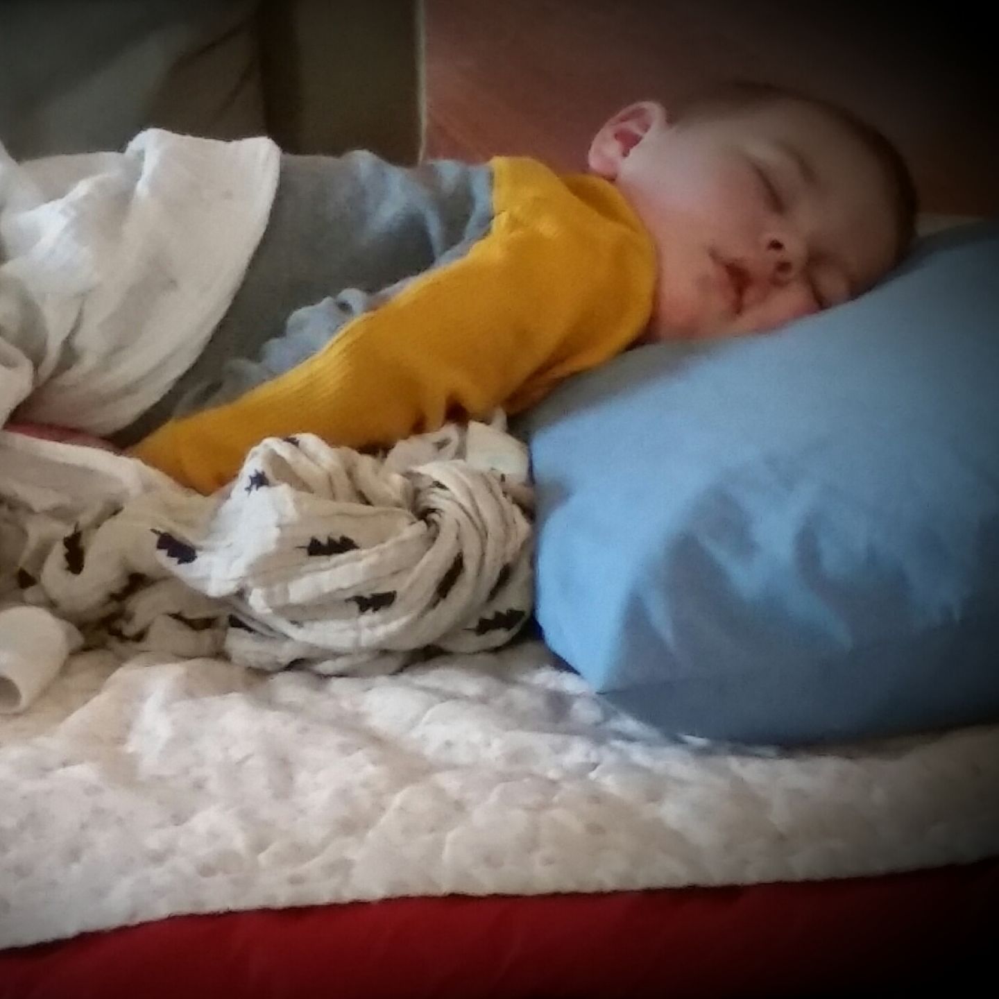 Customer photo review of Diving Ducks