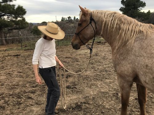 Customer photo review of Sitka  Pant