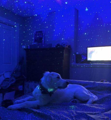 Customer photo review of PlutoLight™