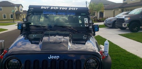 Customer photo review of But Did You Die