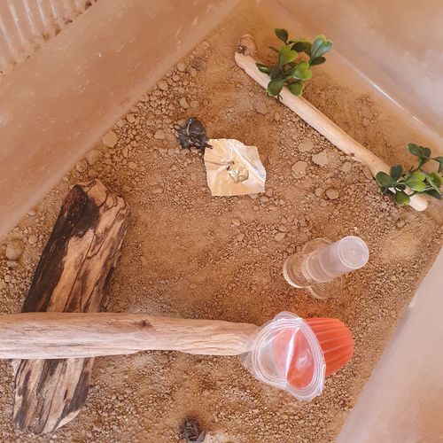 Customer photo review of Driftwood