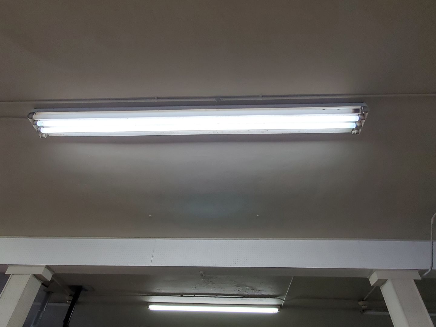 Customer photo review of T8 8ft LED Tube 40W 4800 Lumens Single Pin 4000K Frosted