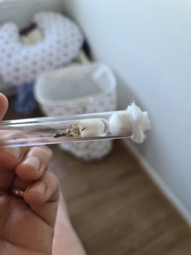 Customer photo review of AntKit Test Tubes