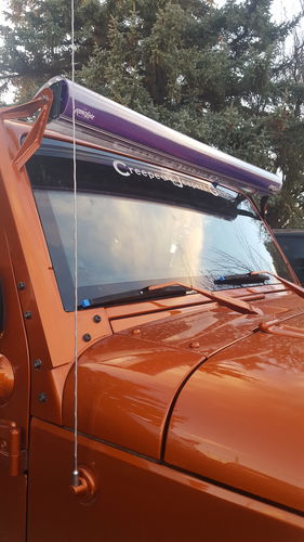 Customer photo review of Dual Row Transparent Colored Inserts