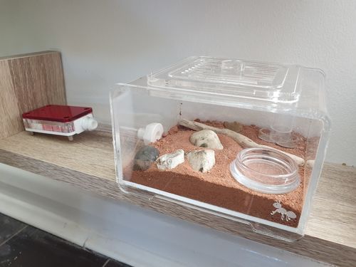 Customer photo review of AntKit Acrylic Arena B500
