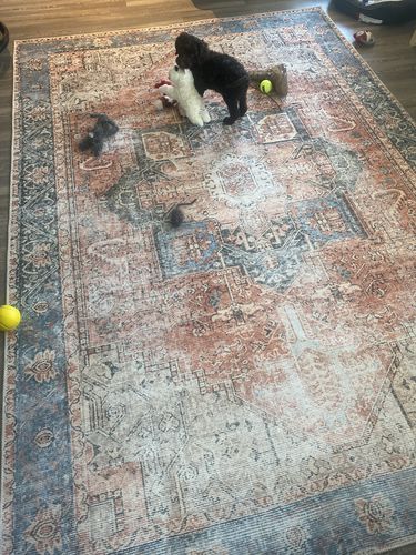 Customer photo review of The Rug Collective­™ Distressed Vintage Cezanne Terracotta Sky Area Rug