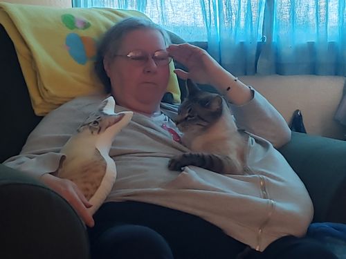 Customer photo review of Custom Cat Pillow