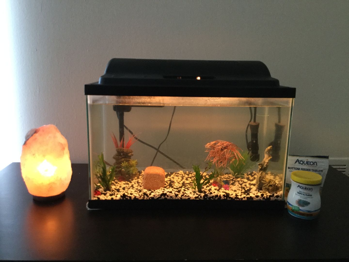 Customer photo review of Replacement Bulb for Himalayan Salt Lamps (15 Watt)