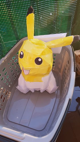 Customer photo review of Pikachu