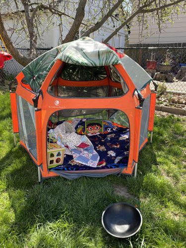 Customer photo review of Pop N' Go® Playpen