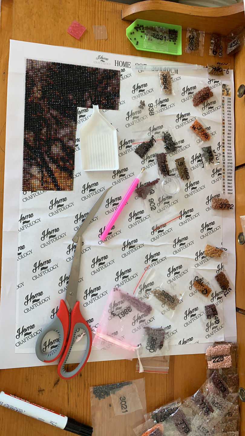Customer photo review of Elephant - Diamond Painting Kit