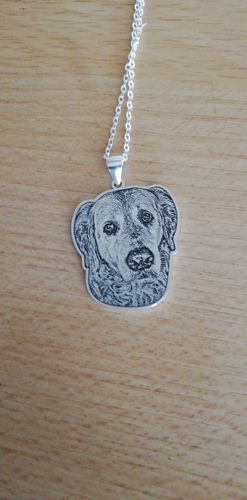 Customer photo review of Silvercut™ Necklace