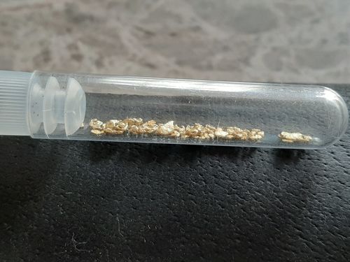 Customer photo review of 2 Lb. JACKPOT PAYDIRT™ Gold Paydirt Unsearched