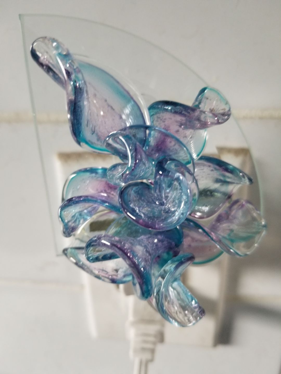 Customer photo review of Memorial Nightlight Flower with Cremation Ash