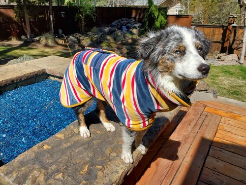ruff and tumble dog coats reviews