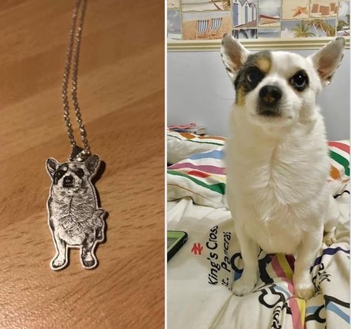 Customer photo review of Silvercut™ Necklace