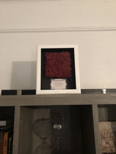 Customer photo review of RED Turf - Shadow Box