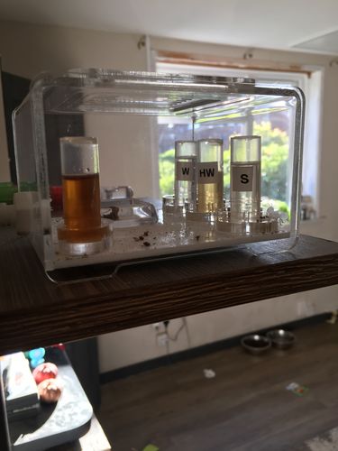 Customer photo review of AntKit Water Feeder