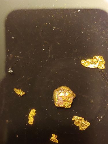Customer photo review of *New* 2020 NUGGET RESERVE 'CLUNKER' Gold Paydirt Panning Unsearched