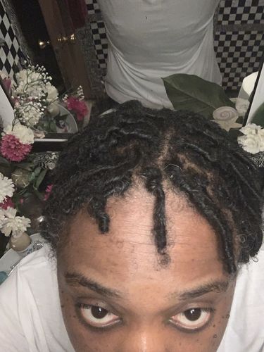 Customer photo review of Locs & Natural Hair Detox Box