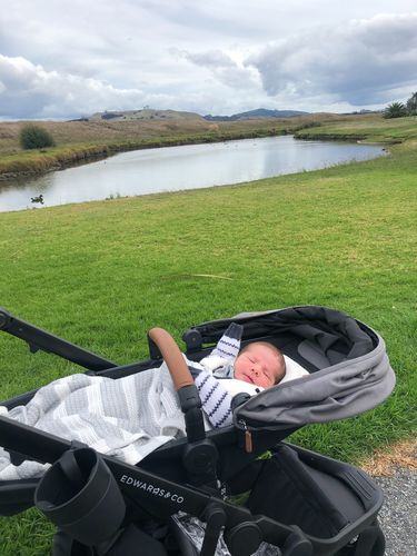 Customer photo review of Oscar Mx