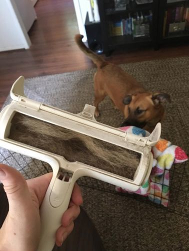 Customer photo review of Capture Poils