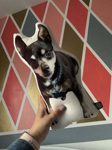 Customer photo review of Custom Dog Pillow