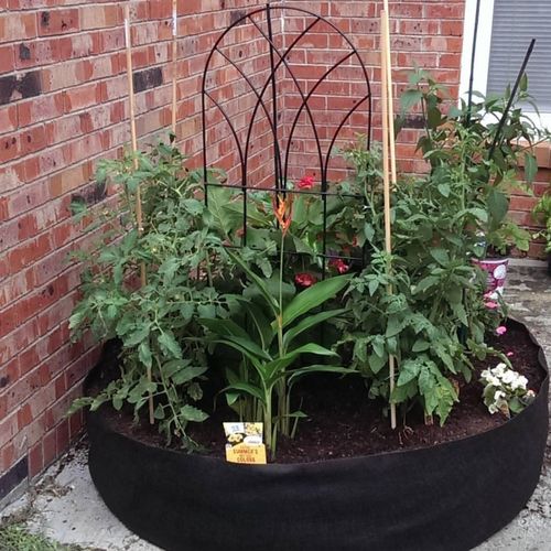 Customer photo review of Le Potager Magique