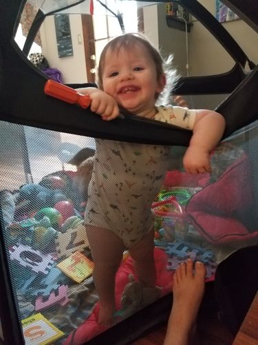 Customer photo review of Pop N' Go® Playpen