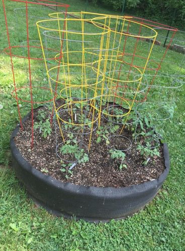 Customer photo review of Le Potager Magique