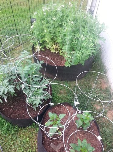 Customer photo review of Le Potager Magique