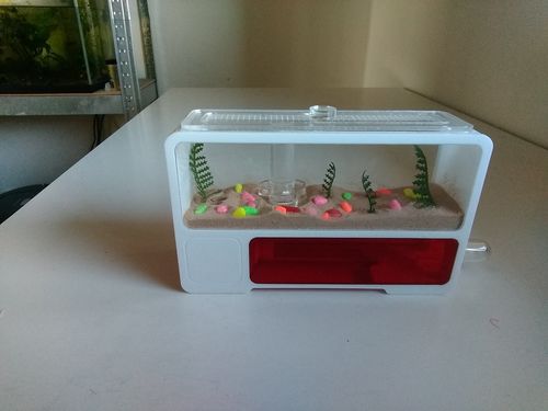 Customer photo review of AntKit AntHome Test Tube Formicarium