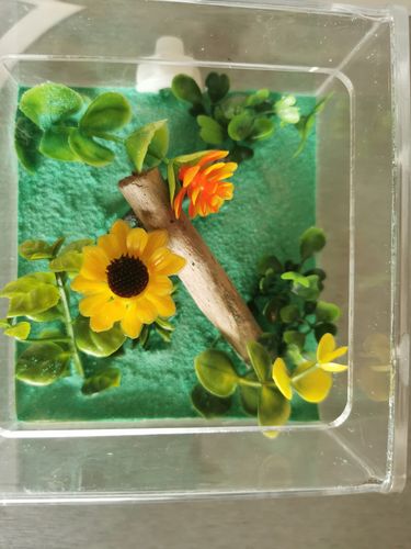 Customer photo review of AntKit Essentials Set
