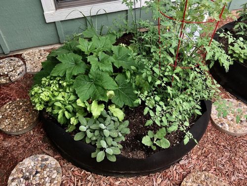 Customer photo review of Le Potager Magique