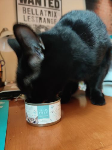 Customer photo review of Tuna & Salmon Recipe Flaked Dinner In Broth Adult Cat Food, 2.8-oz, Case of 12