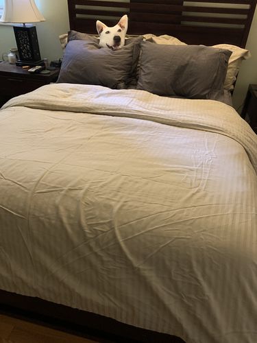 Customer photo review of Custom Face Pillow