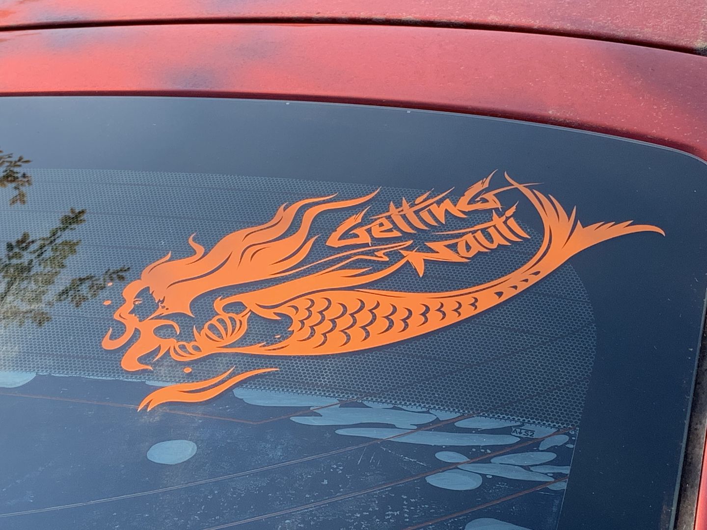 Customer photo review of Mermaid Vinyl Decal