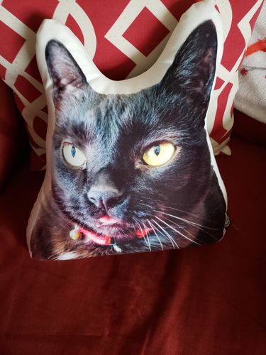 Customer photo review of Custom Face Pillow