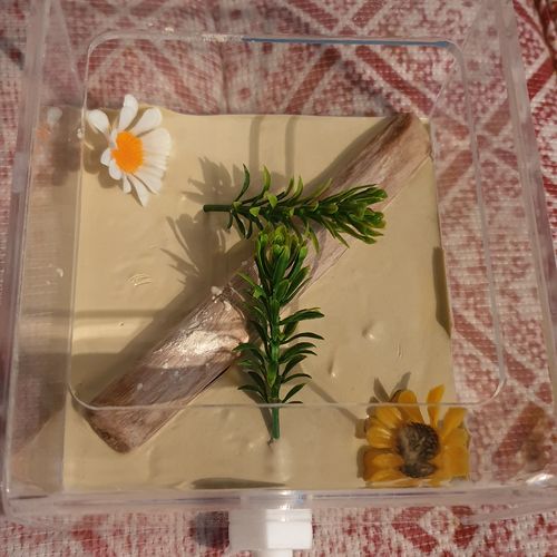 Customer photo review of Grout (Light)
