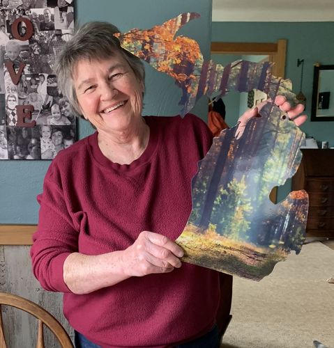 Customer photo review of Michigan Imagery Sign