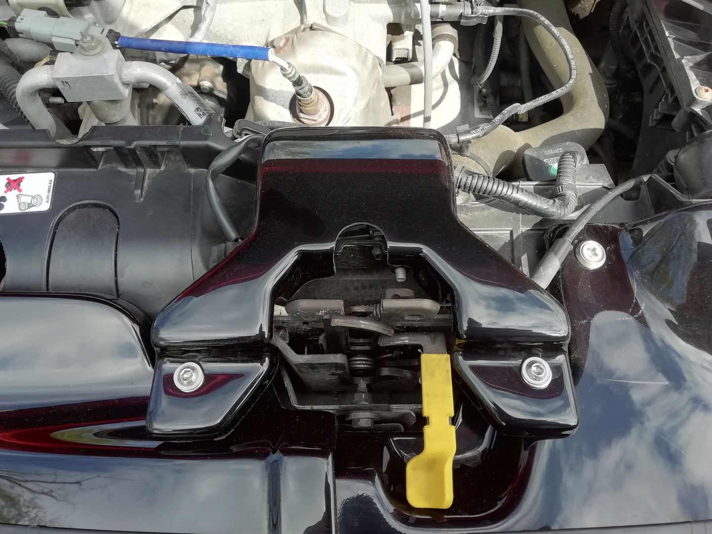 Customer photo review of Bonnet Catch Plate Cover (various colours) - MK7.5 Fiesta