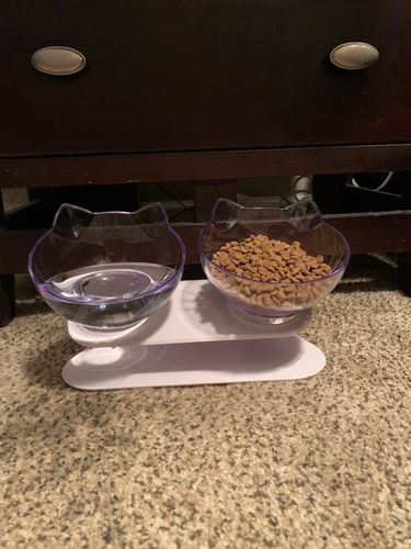 Customer photo review of Anti-Vomiting Orthopedic Cat Bowl