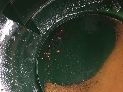 Customer photo review of *BOGO* Pioneer '2 OUNCE NUGGET HUNT' - Gold Panning Paydirt Concentrate