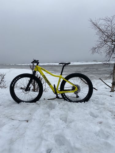 framed wolftrax 27.5