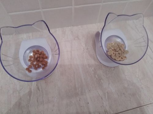 Customer photo review of Anti-Vomiting Orthopedic Cat Bowl
