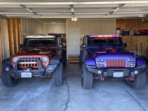 Customer photo review of Red, White and Blue American Bald Eagle