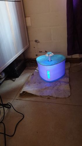 Customer photo review of Cat water fountain